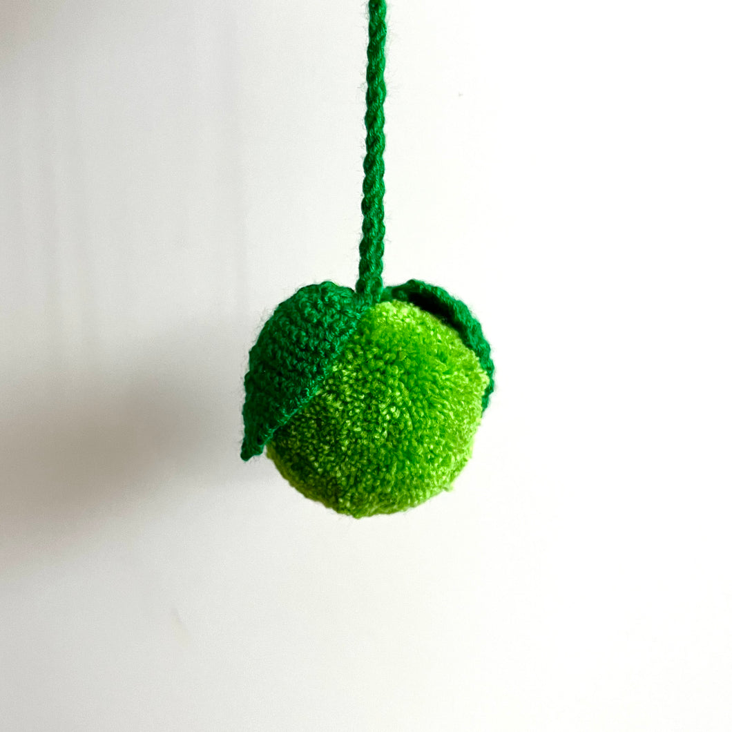 Fruit Pompom, Lime